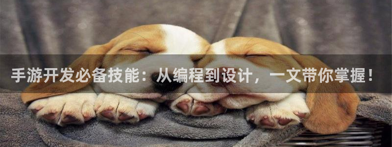 汇丰娱乐加拿大：手游开发必备技能：从编程到设计，一文带你掌握