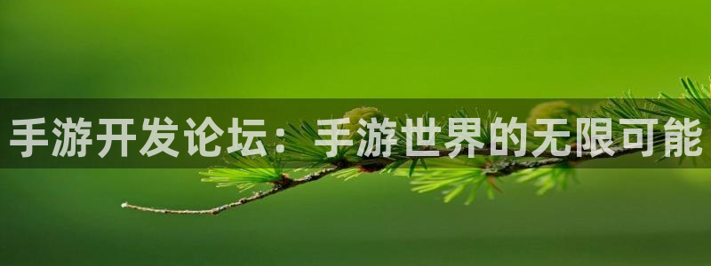 汇丰娱乐开奖预测：手游开发论坛：手游世界的无限可能