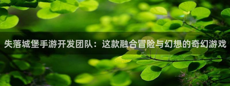 汇丰娱乐最新版苹果版下载：失落城堡手游开发团队：这款融合冒险