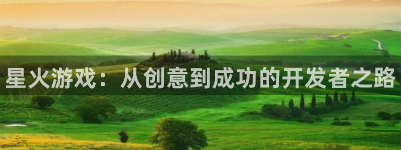 汇丰娱乐网页：星火游戏：从创意到成功的开发者之路