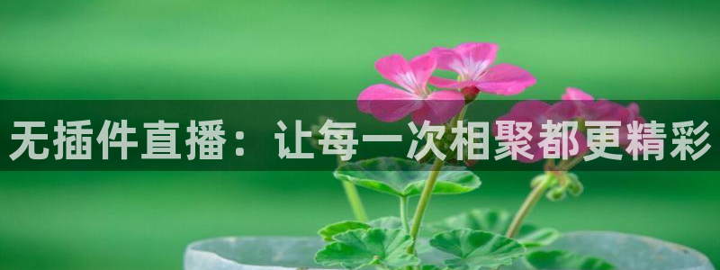 英超直播小九直播