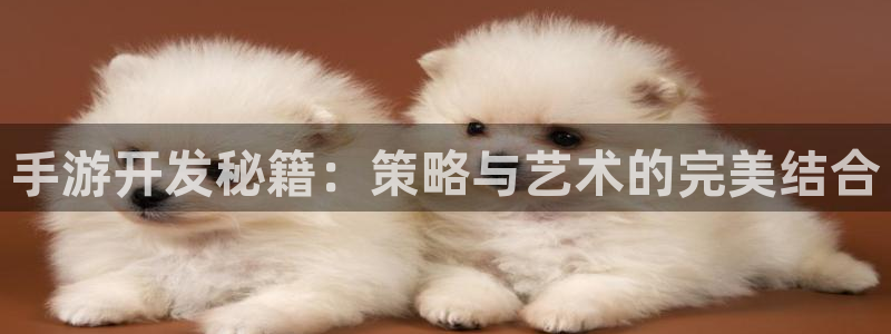 汇丰娱乐结果查询：手游开发秘籍：策略与艺术的完美结合