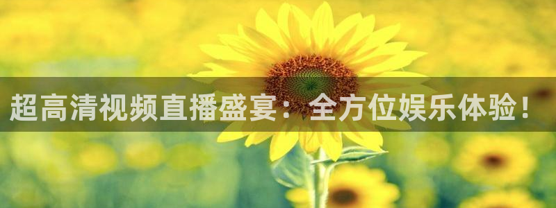 jrs小九篮球直播：超高清视频直播盛宴：全方位娱乐体验！