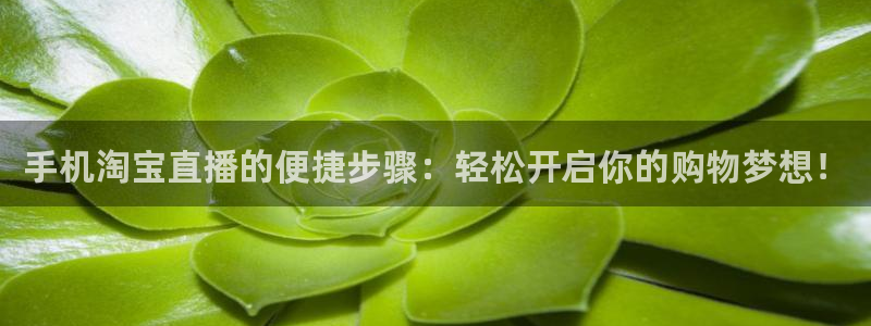 足球直播小九直播在线观看：手机淘宝直播的便捷步骤：轻松开启你的购物梦想！