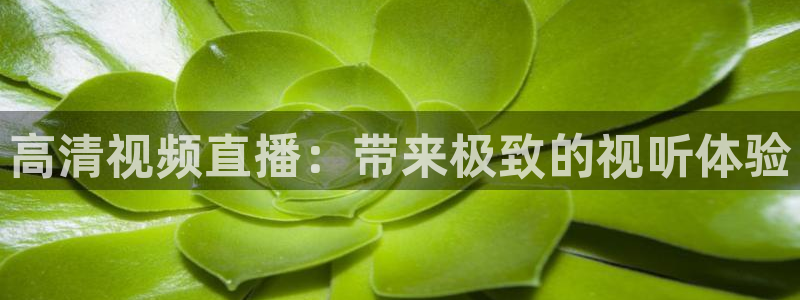 足球小九直播：高清视频直播：带来极致的视听体验